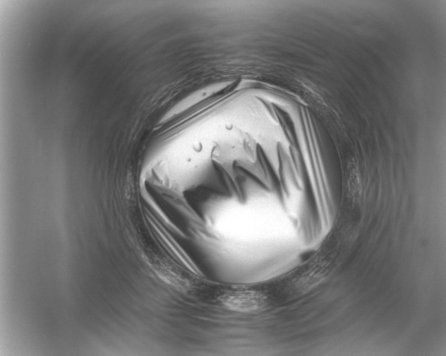 X0000053010459200508051205