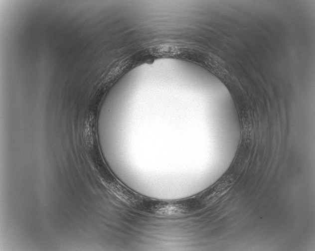 X0000053010460200508051205