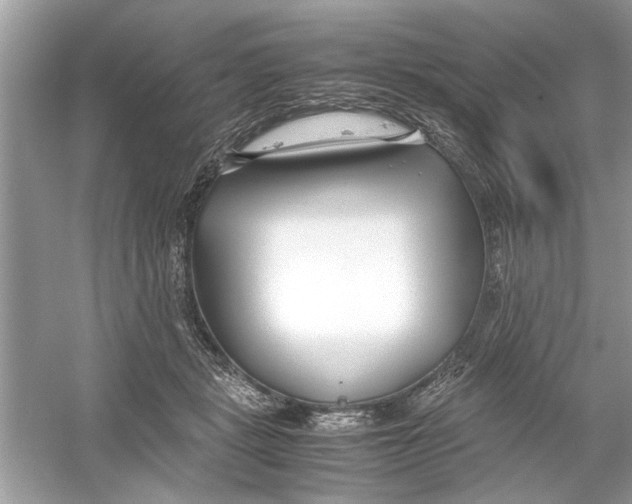 X0000053010461200508051205