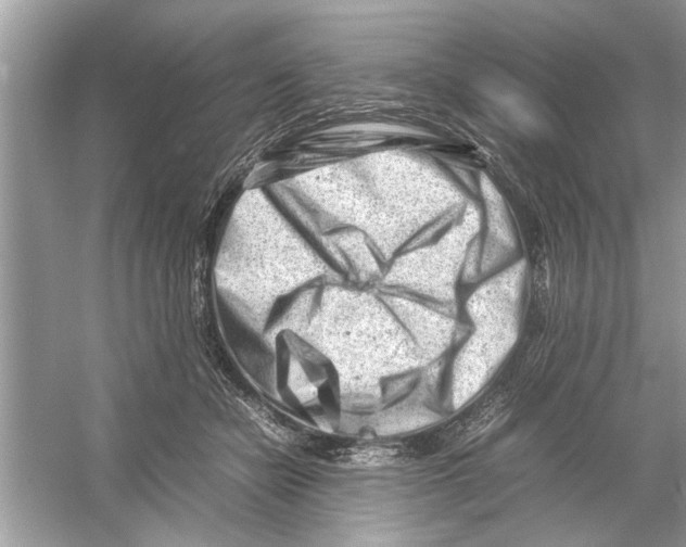 X0000053010462200508051205