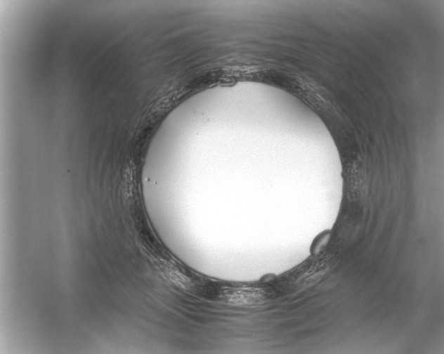 X0000053010463200508051205