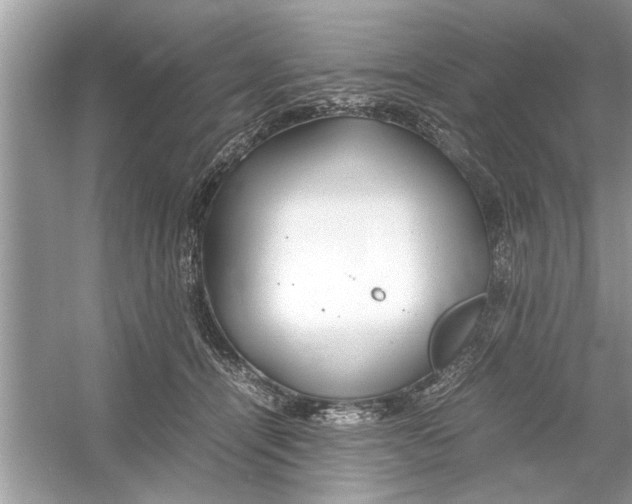 X0000053010464200508051205