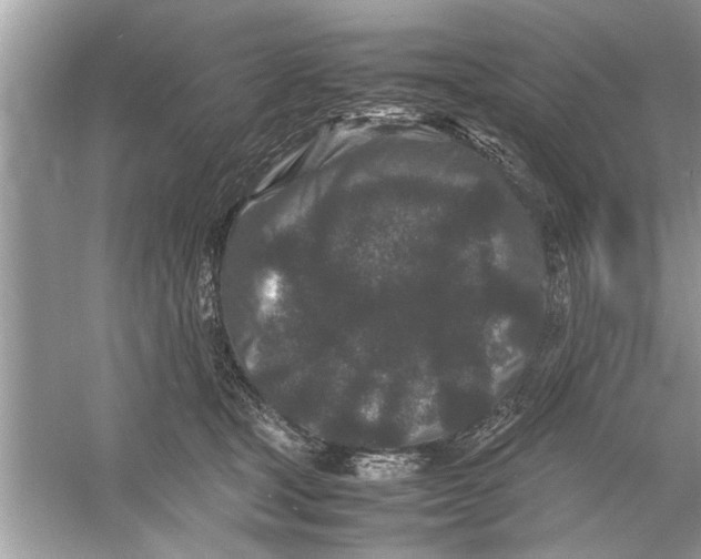 X0000053010465200508051205