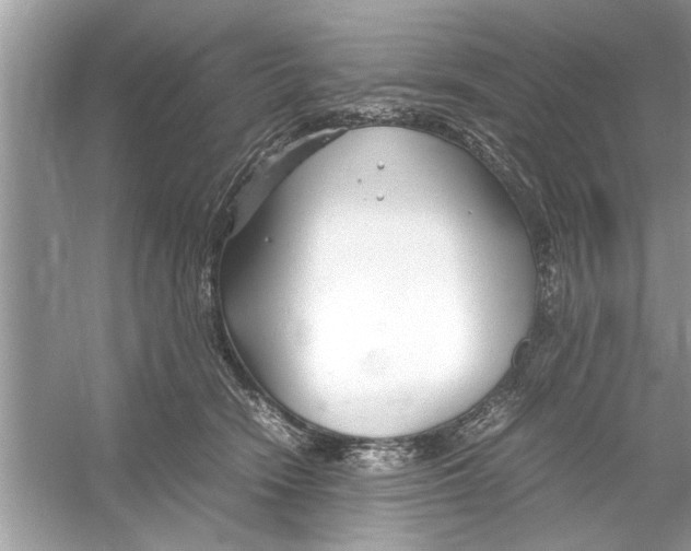 X0000053010466200508051205