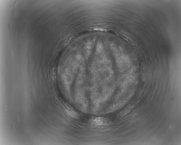 X0000053010467200508051205