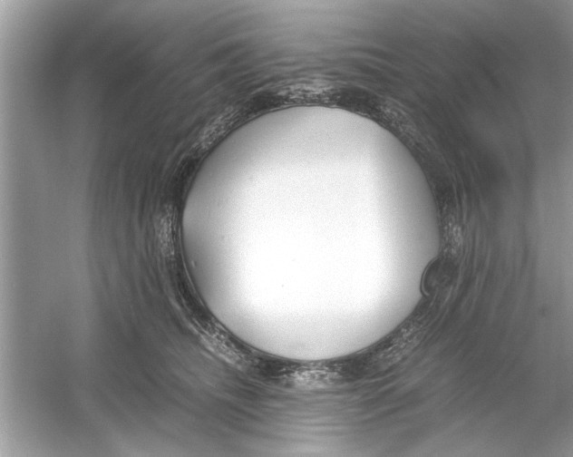 X0000053010468200508051205