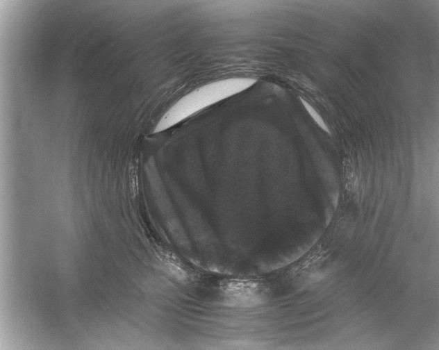 X0000053010471200508051205