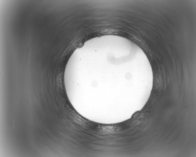 X0000053010473200508051205