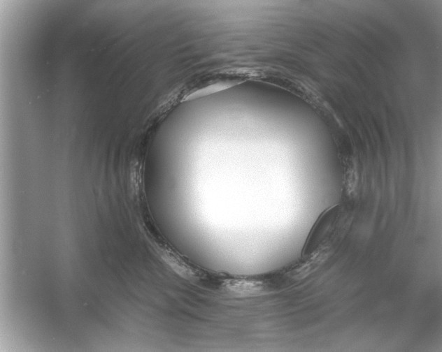 X0000053010476200508051205