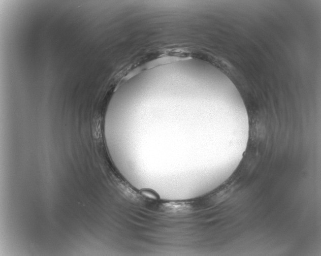 X0000053010477200508051205