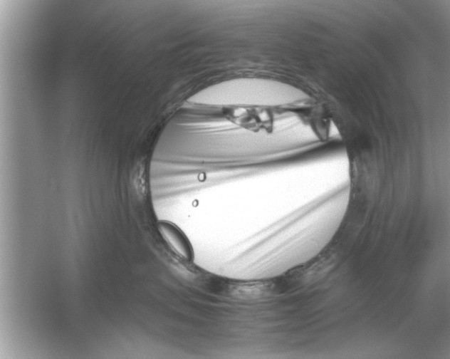 X0000053010479200508051205