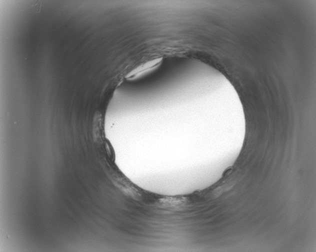 X0000053010480200508051205