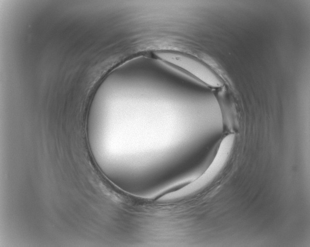 X0000053010481200508051204