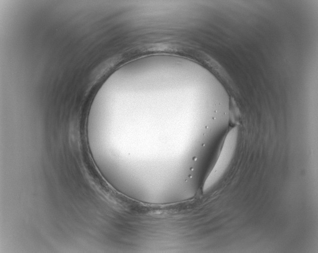 X0000053010482200508051204