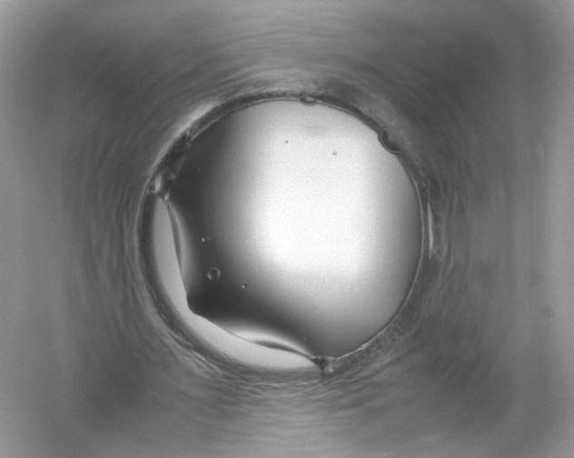 X0000053010483200508051204