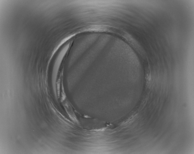 X0000053010484200508051204