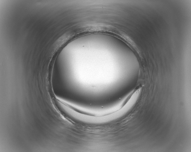 X0000053010485200508051204