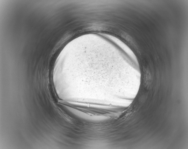 X0000053010486200508051204