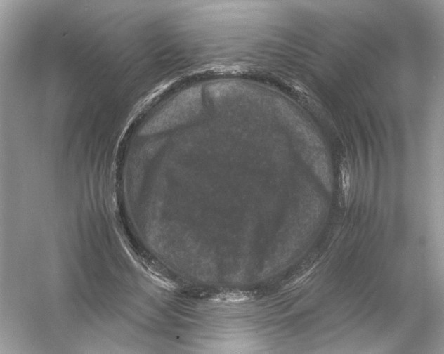 X0000053010492200508051204