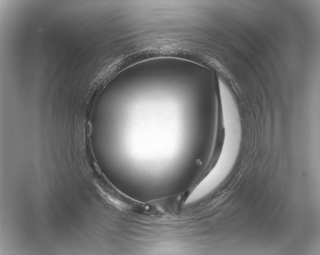 X0000053010493200508051204