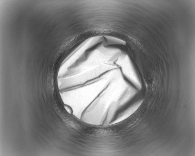 X0000053010494200508051204