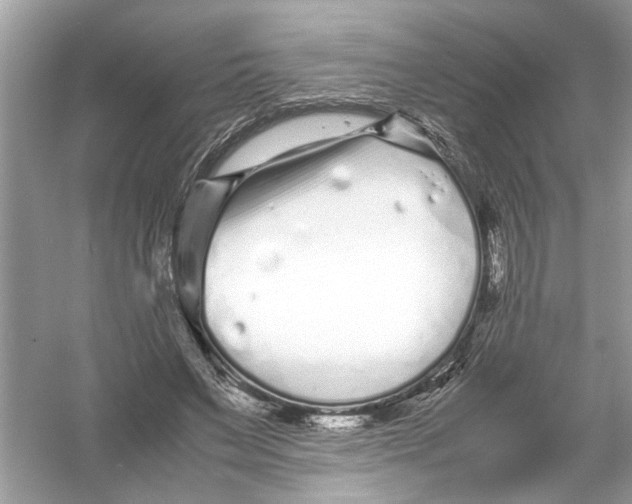 X0000053010495200508051204