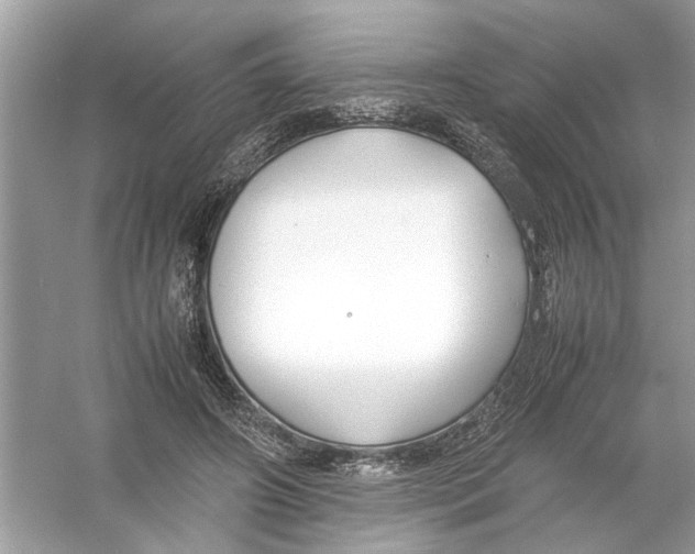 X0000053010498200508051204