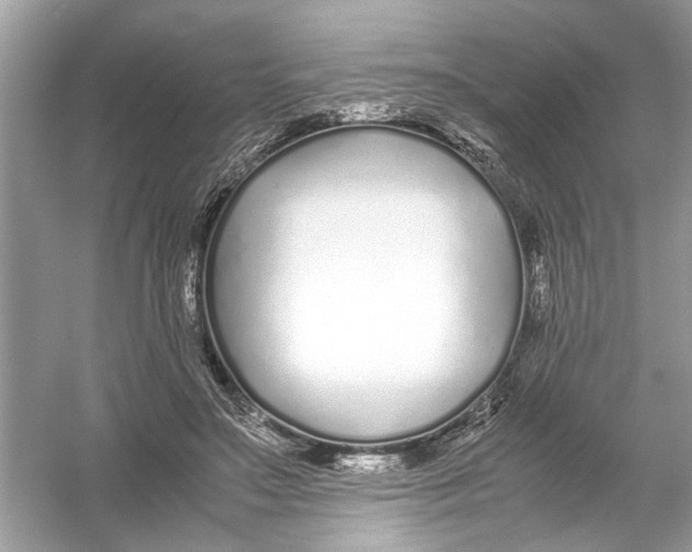 X0000053010499200508051204