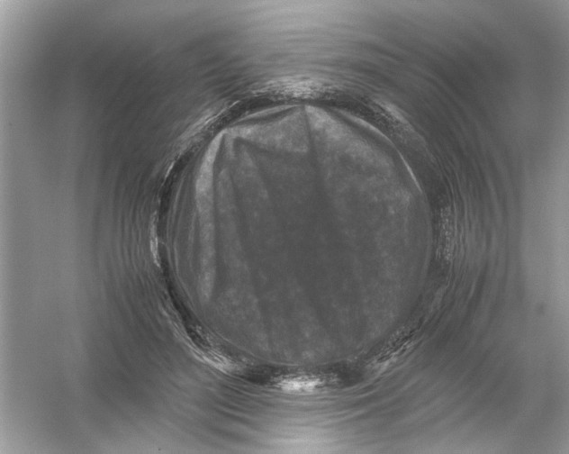 X0000053010500200508051204