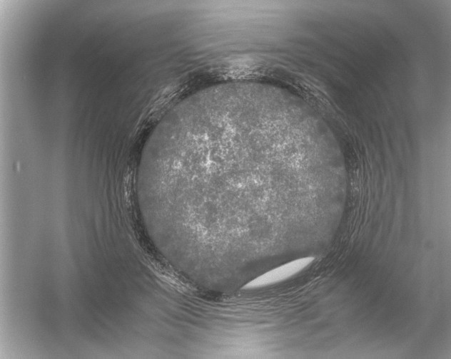 X0000053010503200508051204