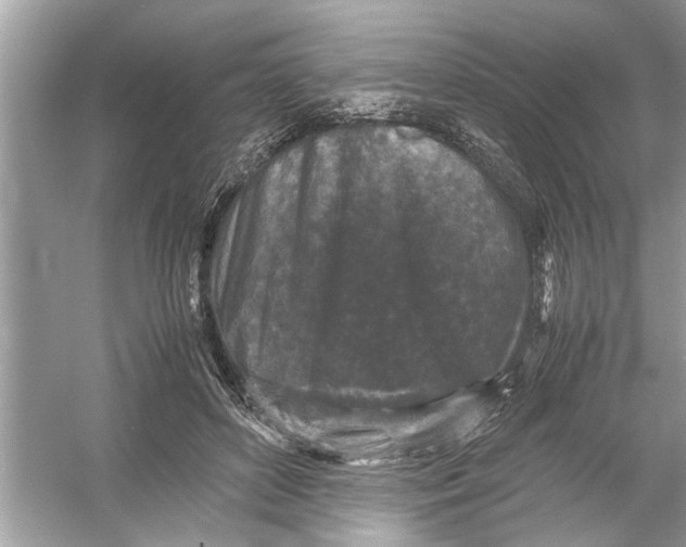 X0000053010504200508051204