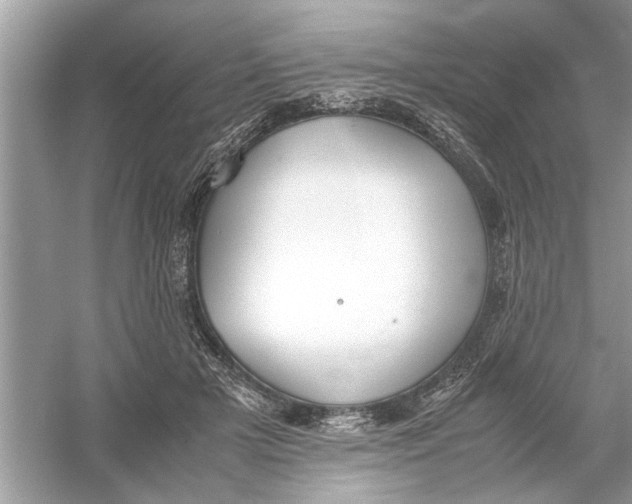 X0000053010505200508051204