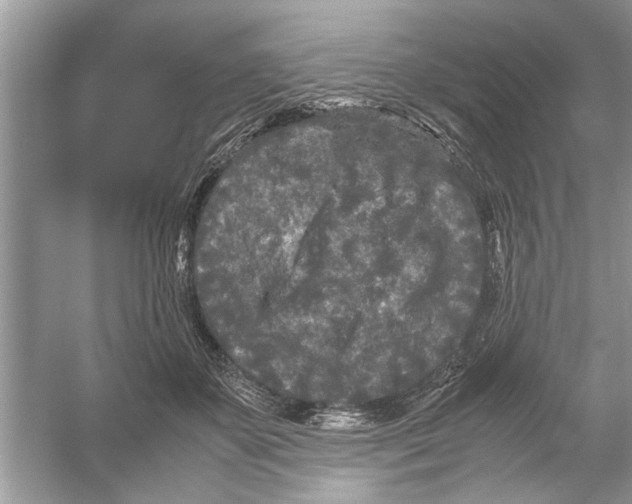 X0000053010507200508051204