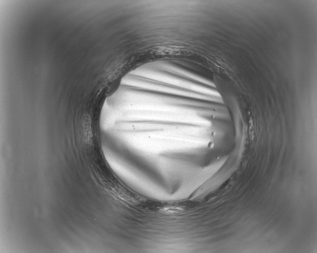 X0000053010508200508051204