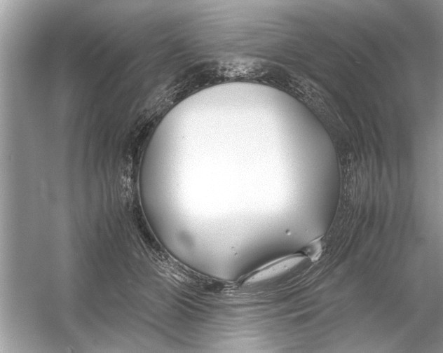 X0000053010510200508051204