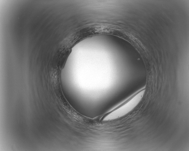 X0000053010513200508051204