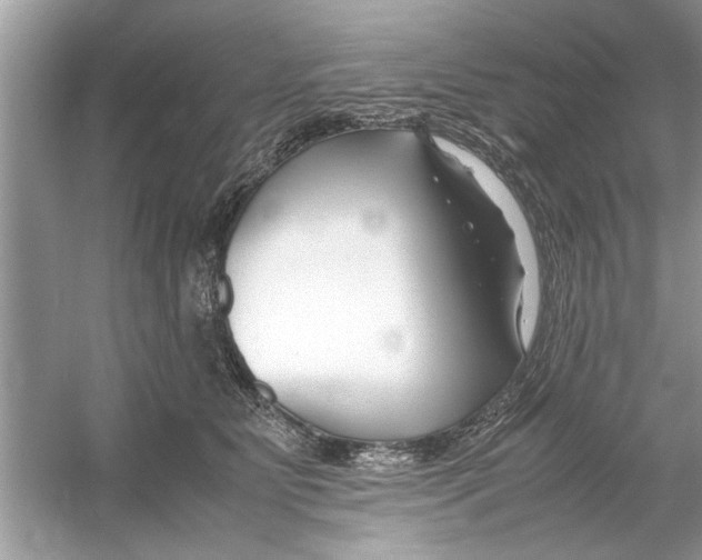 X0000053010515200508051204