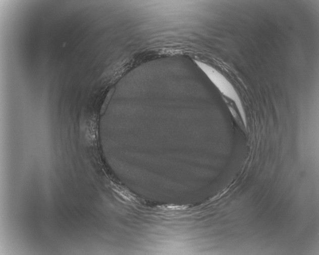 X0000053010517200508051204