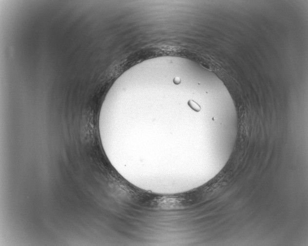 X0000053010518200508051204