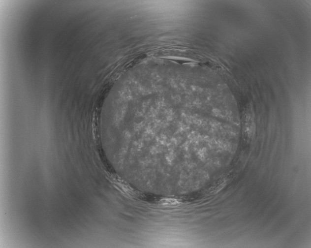 X0000053010519200508051204