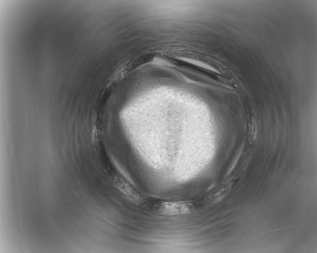 X0000053010520200508051204