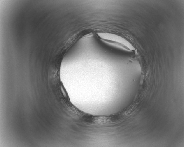 X0000053010521200508051204