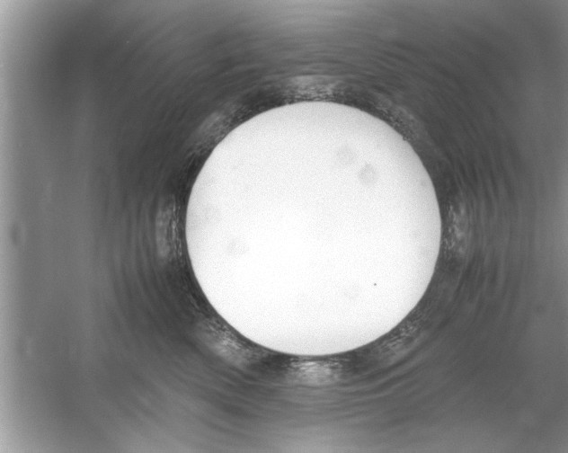 X0000053010522200508051204