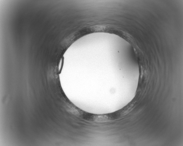 X0000053010525200508051203