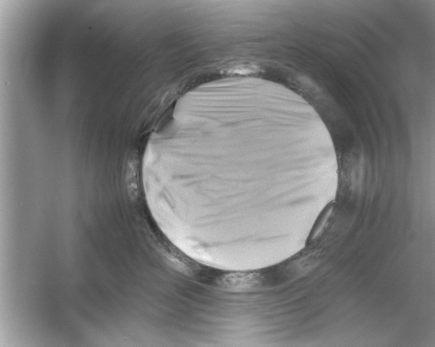 X0000053010526200508051203