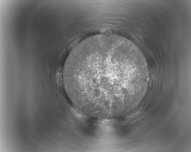 X0000053010527200508051203