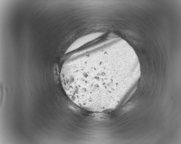 X0000053010528200508051203