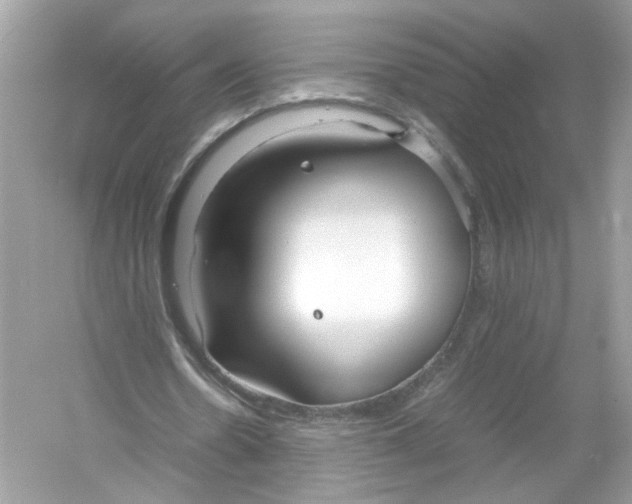 X0000053010530200508051203