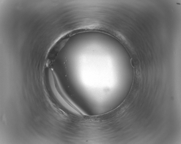 X0000053010532200508051203