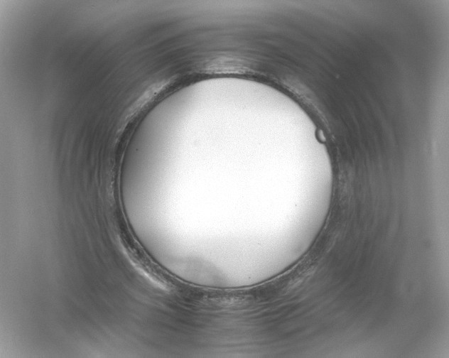 X0000053010533200508051203